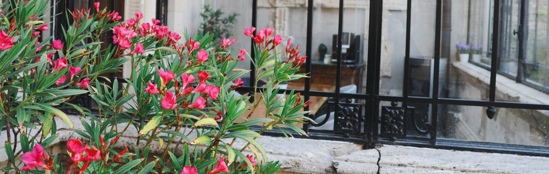 Le Jardin d'Hiver espace extérieur à Châlons-en-Champagne